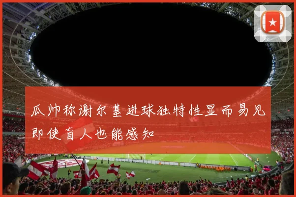 瓜帅称谢尔基进球独特性显而易见即使盲人也能感知