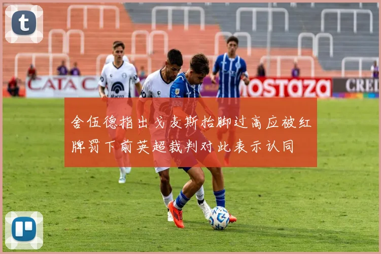 舍伍德指出戈麦斯抬脚过高应被红牌罚下前英超裁判对此表示认同