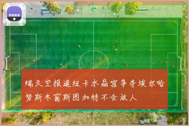 瑞天空报道纽卡水晶宫争夺埃尔哈努斯冬窗斯图加特不会放人