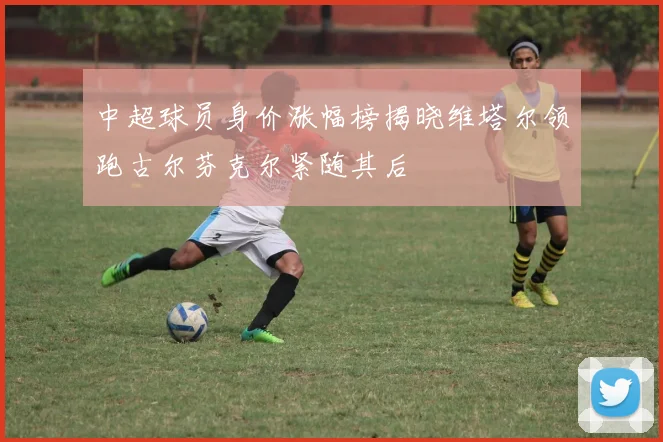 中超球员身价涨幅榜揭晓维塔尔领跑古尔芬克尔紧随其后