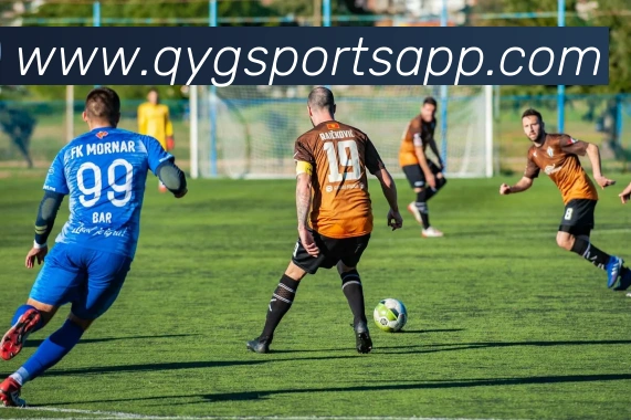 奇异果体育平台生态图