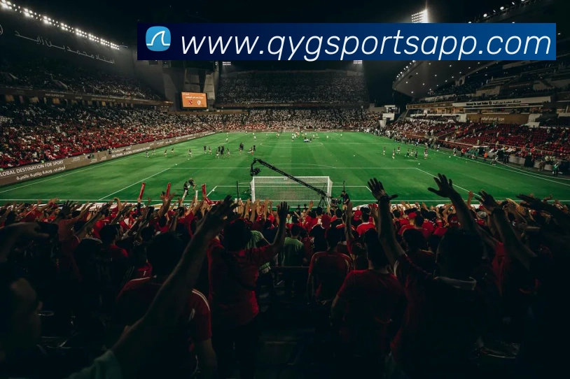 奇异果体育APP 封面图